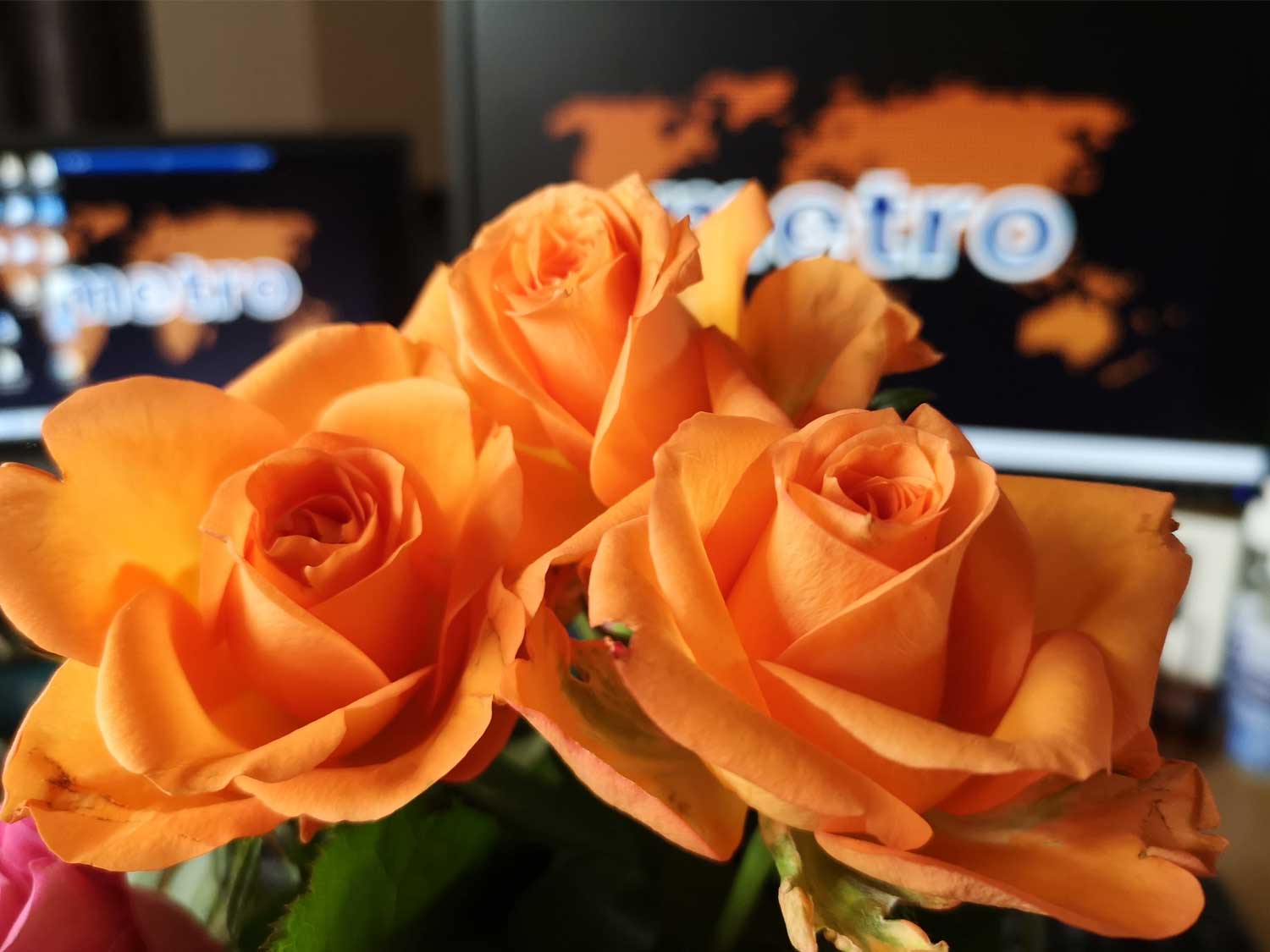 Be more Oscar Be more Oscar