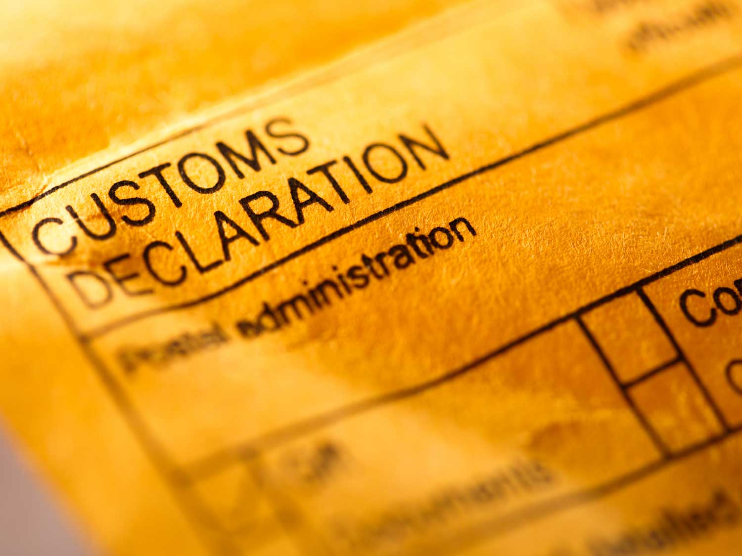 November 2024; Customs and compliance update