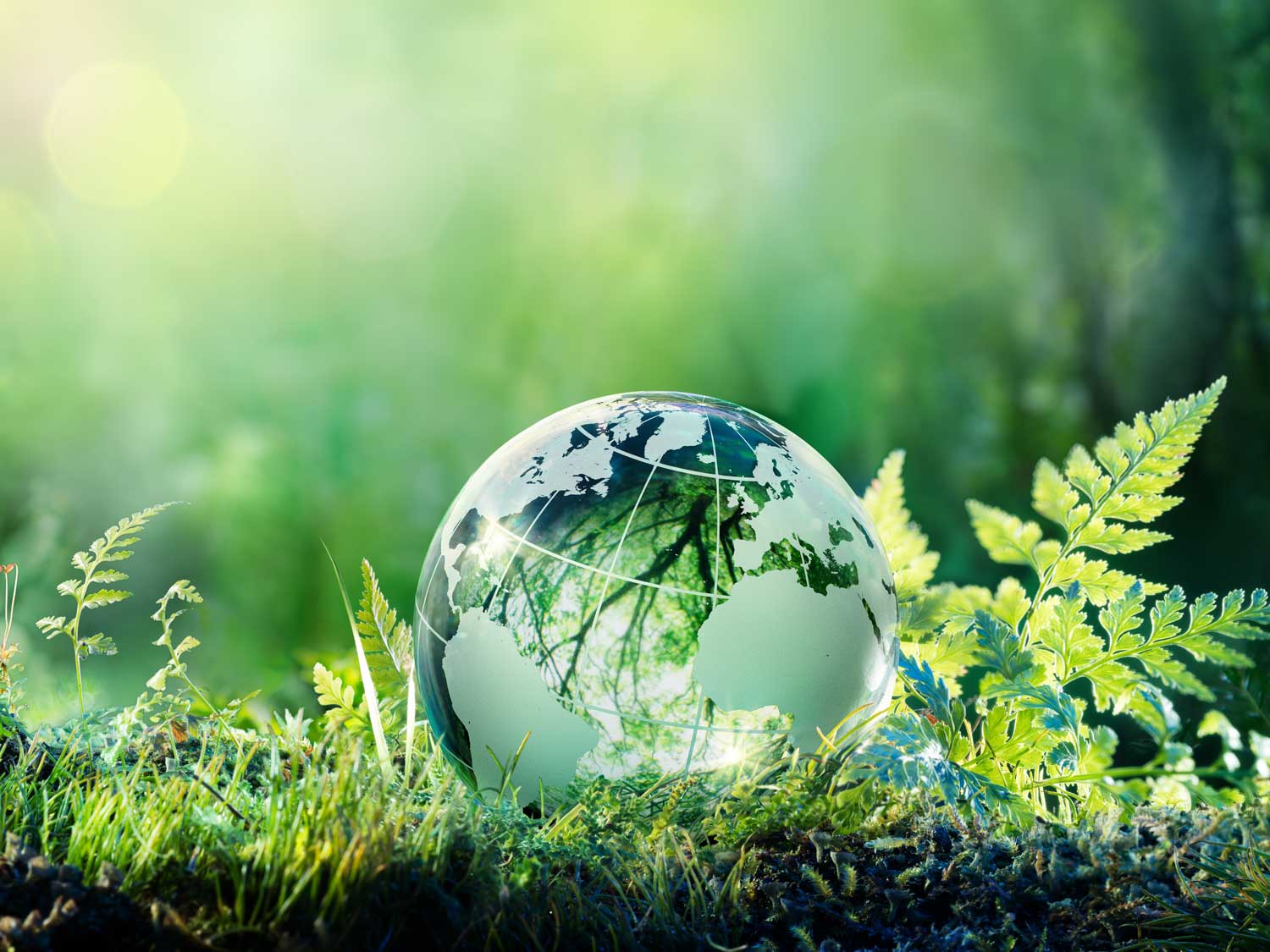 Metro expands sustainability initiative for global sea and airfreight services