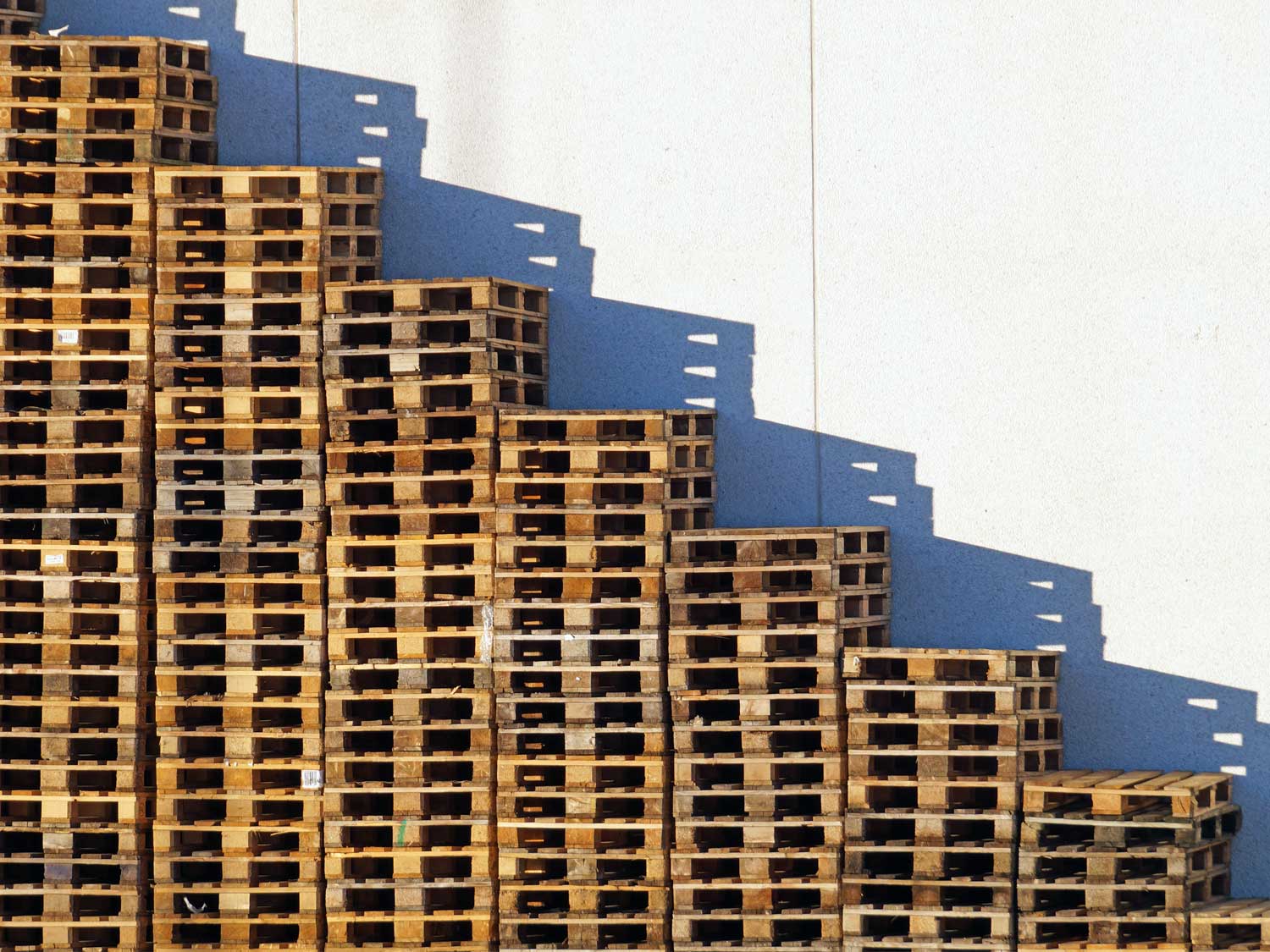 Ukraine invasion drives timber prices up and pallet supply down