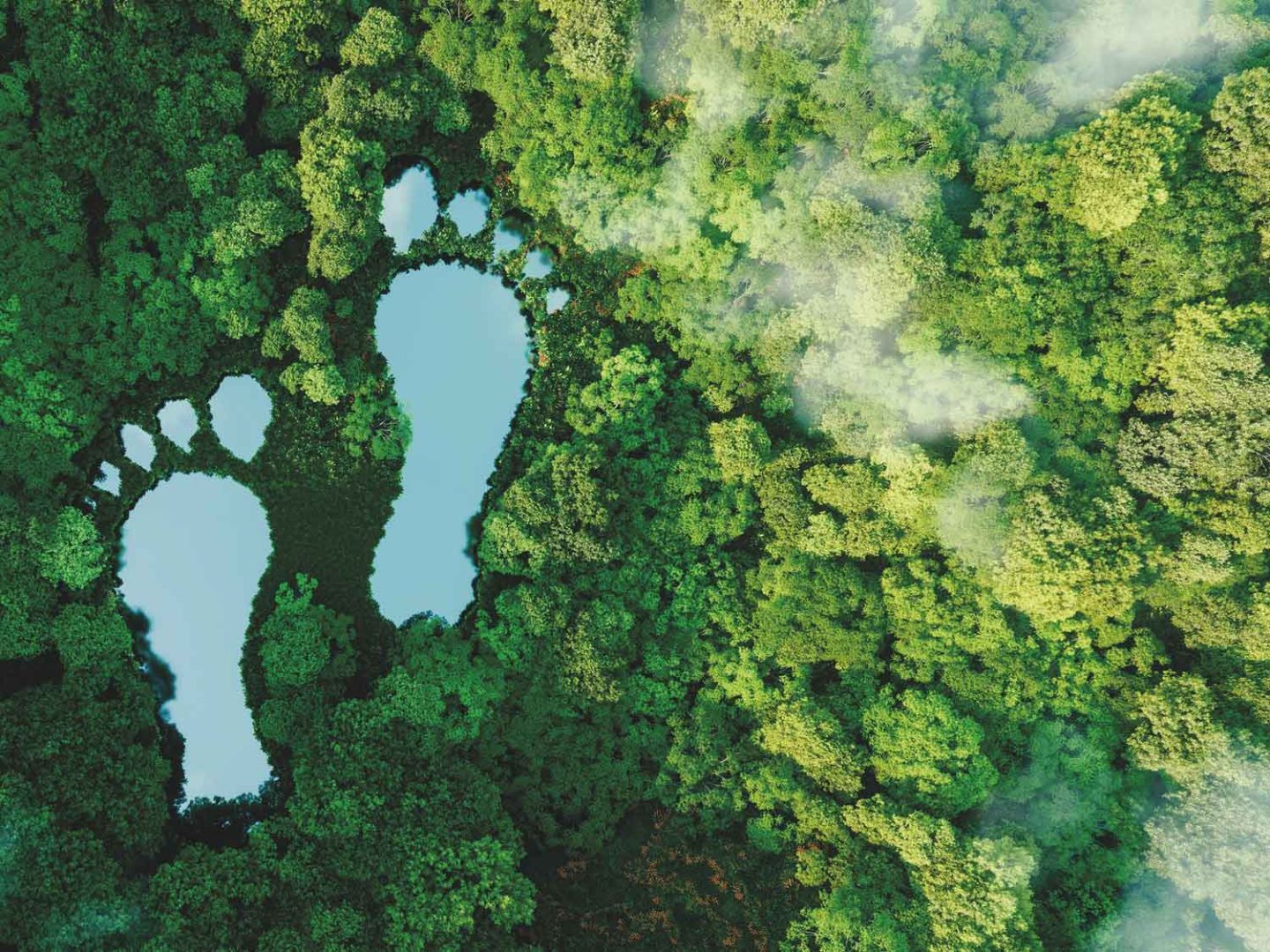 EU Deforestation-Free Product Law Faces Further Delays