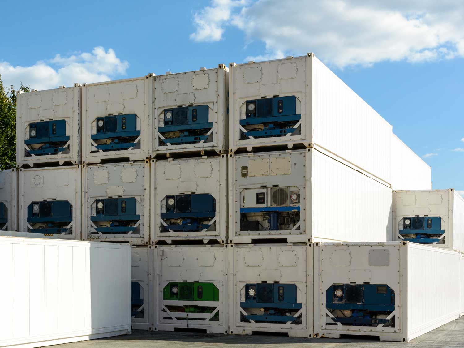 Refrigerated container market update